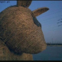 Kadr z filmu Miś