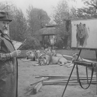 Kazimierz Lasocki podczas malowania lwów