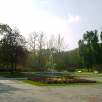 Plac na terenie parku