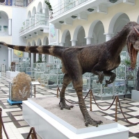 Model dinozaura – dilofozaura