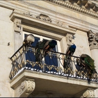 Balkon Pałacu